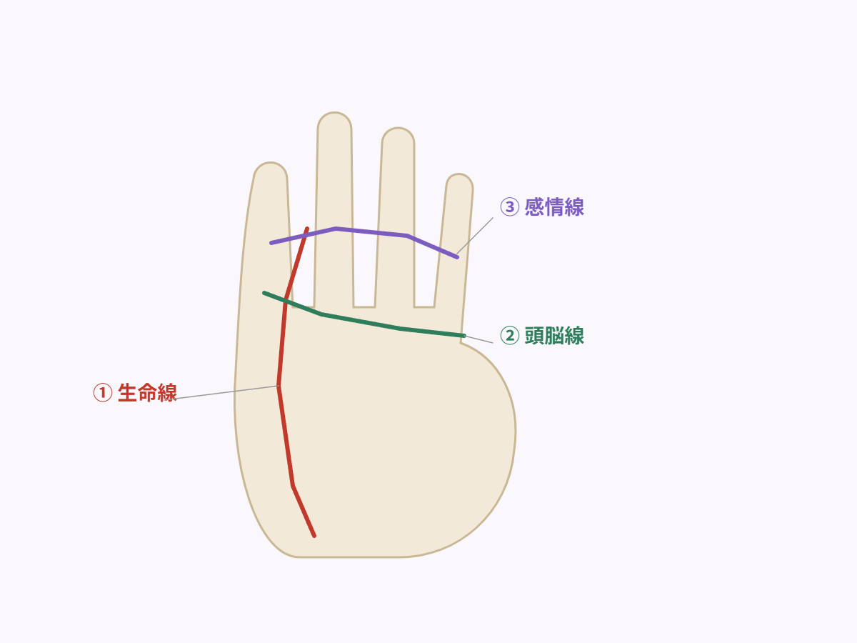 手相の三大線（生命線・頭脳線・感情線）の位置を示した図解
